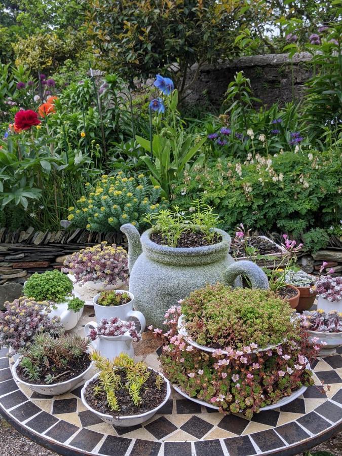Drumfearne Guesthouse & Tearoom Carradale ภายนอก รูปภาพ